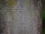 image of grave number 919936
